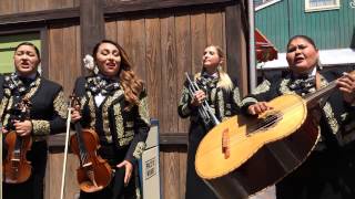 quotSABOR A MI  WE BELONG TOGETHERquot by Mariachi Divas [upl. by Russian47]