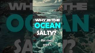 Why is the Ocean salty 😲 shorts explained [upl. by Adnerb]