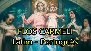 Flos Carmeli  LEGENDADO PTBR [upl. by Charmane]