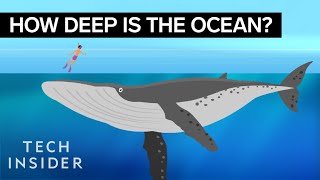 This Incredible Animation Shows How Deep The Ocean Really Is [upl. by Lissi]