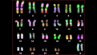 Test 1 preparation video NST21ES W [upl. by Hymie]