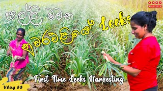 සල්ලි මවන නුවරඑළියේ ලීක්ස් වවන රහස 😐  Leeks Wagawa Mandaramnuwara Nuwara Eliya [upl. by Aidile]