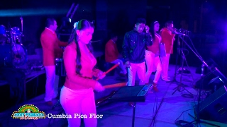 Nery Pedraza y los Guaraperos de la Cumbia 💥 Cumbia Pica Flor [upl. by Neesay437]