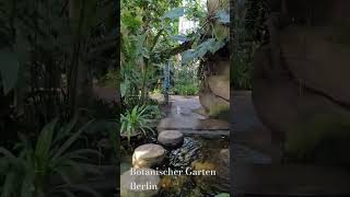 Botanischer Garten in Berlin [upl. by Korfonta]