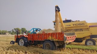 Harvester Machine in Pakistan Cutting Rice 2020  Village Life in Pakistan Punjab [upl. by Arihday431]