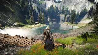 Mysterious Quest Deep in the Mountains That Many Players Overlooked  The Witcher 3 [upl. by Leaffar]