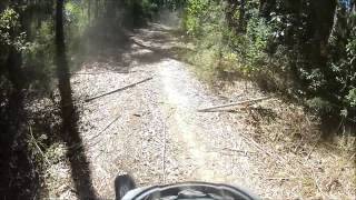 Big red belly black snake tries to attack motorbike riders [upl. by Aropizt105]