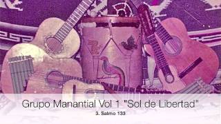 Grupo Manantial Musica Latinoamericana [upl. by Eisserc883]