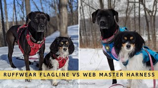 Ruffwear Webmaster vs Flagline Harness [upl. by Ytram]