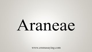 How To Say Araneae [upl. by Seiuqram]