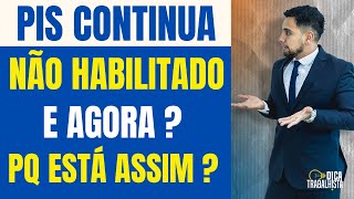 PIS CONTINUA NÃO HABILITADO  E AGORA  POR QUE ISSO ESTÁ ACONTECENDO [upl. by Ecreip862]