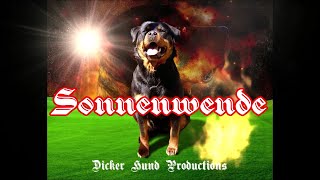 Dicker Hund Sondersendung  Sonnenwende Spezial [upl. by Enirehs474]