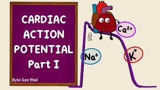 Ventricular Action Potential  Cardiac Action Potential  Part 1  Phases  Cardiac Physiology [upl. by Gargan751]