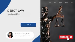 Speed Up Kuppi  Delict Law  Level 6  කාරණත්වය [upl. by Aisilef]