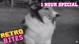 Lassie  1 Hour Special  English  Full Episodes  Old Cartoons [upl. by Naret]