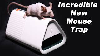 The GOODNATURE Smart Mouse Trap Is Incredible Technology Mousetrap Monday [upl. by Semadar975]