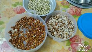 Molakalu  Sprouts  పూర్తి పోషకాలు పొందాలంటే మొలకలు ఇలా నాన పెట్టాలి  molakalu diet [upl. by Regan]