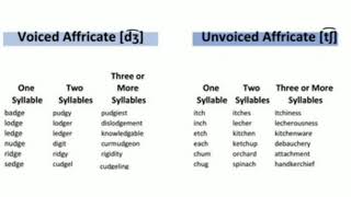 Voiced and Unvoiced Affricates  Segmentalbased English Phonetics [upl. by Emmalynne]