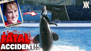 Why The Last Minutes Of Dawn Brancheau In SeaWorld Were TERRIFYING [upl. by Sheff307]