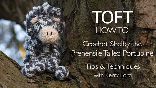 How to Crochet Shelby the Porcupine [upl. by Anaitsirhc]