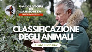 CLASSIFICAZIONE degli ANIMALI e loro Curiosità  Scuola Primaria [upl. by Cherin392]