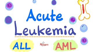 Acute Leukemia  ALL and AML  Hematology and Oncology Series [upl. by Tonina115]