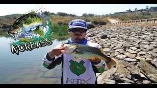 Pesca ao Achigã  Circuito Norbass 2016  Spro  Katx [upl. by Winslow846]