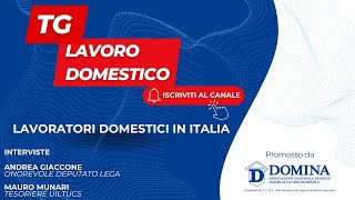 Tg Lavoro Domestico  Lavoratori domestici in Italia [upl. by Leventhal]