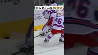 Biggest Hits In The NHL pt4 hockeyhighlights hockeyhits nhl [upl. by Aicela]