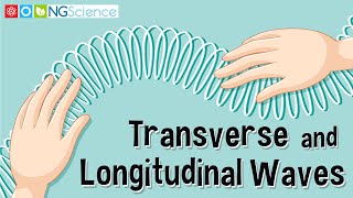 Transverse and Longitudinal Waves [upl. by Eimar]