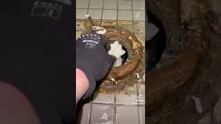 Leaky Toilet Fix wow plumber nyc [upl. by Eikcim868]