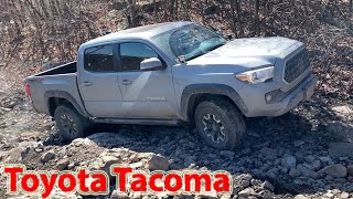 Toyota Tacoma TRD Off Road 4x4 Mountain Trail Rock Hill Climbing Run [upl. by Ecidnacal518]