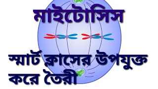 মাইটোসিস বিভাজনMitosis division in BengaliKaryokinesis ampCytokinesisProphaseMetaphasesmart class [upl. by Dunton]