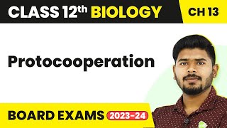 Protocooperation  Organisms and Populations  Class 12 Biology Chapter 13 NCERTNEET 202223 [upl. by Frankie948]