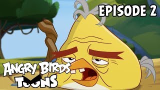 Angry Birds Toons  Bad Hair Day  S3 Ep2 [upl. by Houlberg]