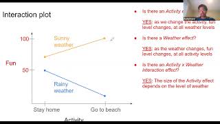 What are interaction effects and how can we visualize them [upl. by Arielle]