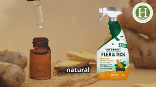 Fastest Way to Get Rid of Fleas on Your Dog [upl. by Nale]