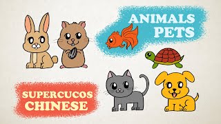 学中文  动物 宠物  Learn Chinese for kids  Animals amp Pets  Aprender Chino  Los Animales amp Las Mascotas [upl. by Atnohsal184]