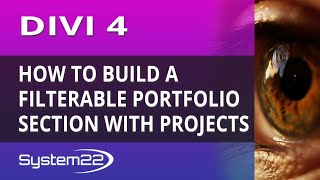 Divi 4 How To Build A Filterable Portfolio Section With Projects [upl. by Fayola760]