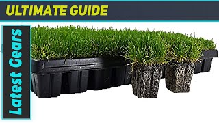 reviewZoysia Plugs  Your Best Choice for a Low Maintenance DroughtTolerant Lawn [upl. by Edda]