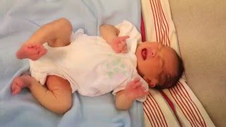 Newborn Baby Kicking and Crying [upl. by Olrak]