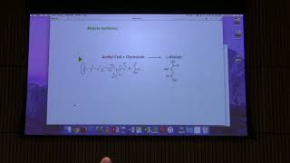 Lecture 31 Aherns BB 451  Citric Acid Cycle III [upl. by Erlewine]