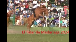 Fiesta del Talar de Madariaga [upl. by Aralc551]