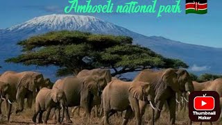 Inside the Amboseli National Park vickiestylist8925 tembeakenya amboseli [upl. by Chappy8]