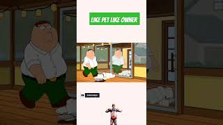 Like Pet Like owner  family guy funny moments  family guy viralvideo shorts [upl. by Danzig213]