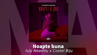 Iuly Neamtu x Costel Biju  Noapte buna  Audio Oficial [upl. by Ayaladnot927]