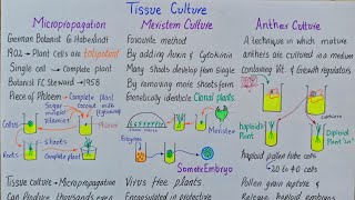 Tissue culture  Meristem culture  Anther culture  Cell suspension culture  class 12 [upl. by Wellington]