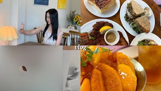 vlog 집밥 해먹고 맛있는 거 많이 먹는 일상 w 맥북 언박싱 [upl. by Annaul]