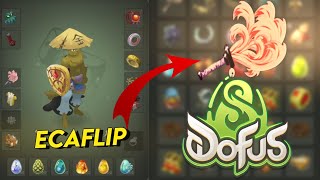 CE CAC EST STUPIDE SUR DOFUS [upl. by Ellord]