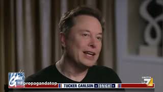 Lintervista esclusiva ad Elon Musk secondo Fabio Celenza [upl. by Eimme375]